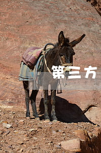 第三方貸款公司（第三方貸款平臺）