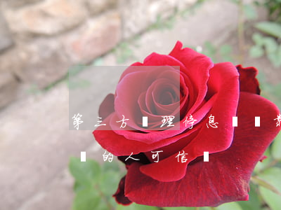 第三方辦理停息掛賬靠譜嗎(專門辦理停息掛賬的人可信嗎)