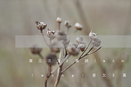 第三次欠2萬網(wǎng)貸怎么上岸(網(wǎng)貸欠3萬怎么上岸)