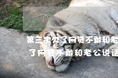 第三次欠了网贷不敢和老公说话-第三次欠了网贷不敢和老公说话怎么办