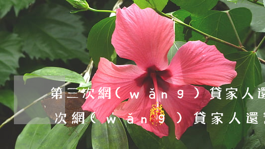 第三次網(wǎng)貸家人還幫嗎-第三次網(wǎng)貸家人還幫嗎?