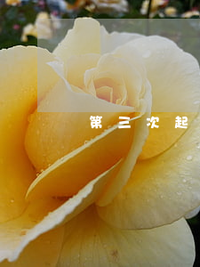 第三次起訴離婚法院怎么辦