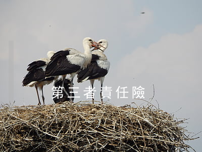 第三者責任險
