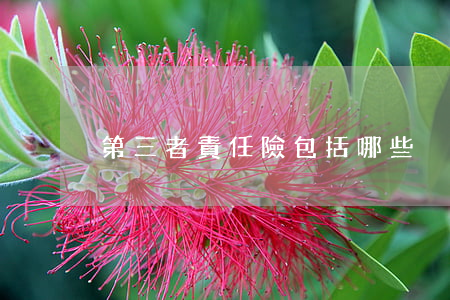 第三者責任險包括哪些