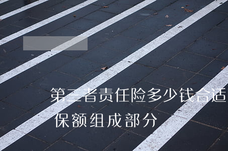 第三者责任险多少钱合适（购买第三责任险的保额组成部分）