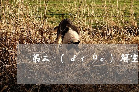 第三調(diào)解室信用卡透支