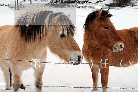 第三責(zé)任險(xiǎn)