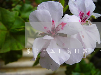 第二十五類商標(第二十五類商標元寶山)