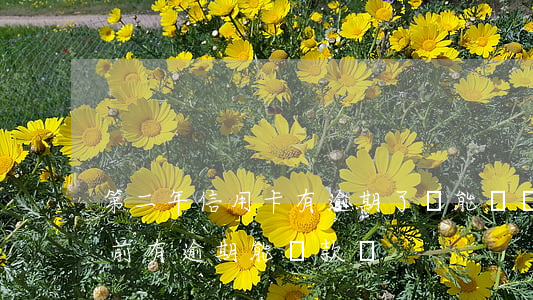第二年信用卡有逾期了還能貸嗎(信用卡2年前有逾期能貸款嗎)