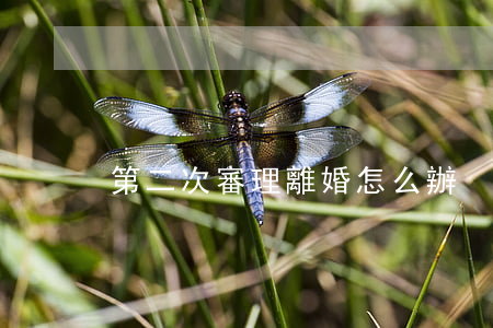 第二次審理離婚怎么辦