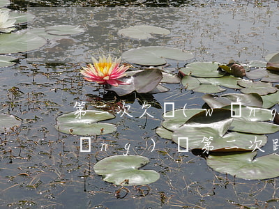 第二次欠網(wǎng)貸不敢說(欠網(wǎng)貸第二次跟家里人說)
