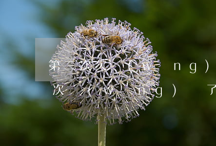 第二次欠網(wǎng)貸坦白怎么說(第二次網(wǎng)貸了怎么坦白)