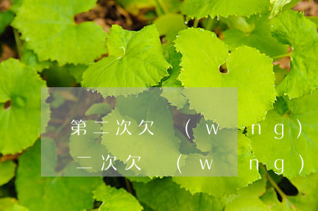 第二次欠網(wǎng)貸怎么和老婆說(第二次欠網(wǎng)貸怎么跟家人說好)
