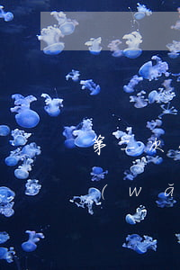 第二次欠網(wǎng)貸怎么跟家里說(網(wǎng)貸第四次該怎么跟家里說)