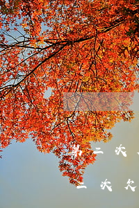 第二次欠網(wǎng)貸怎么跟父母說(第二次欠網(wǎng)貸怎么跟父母說)