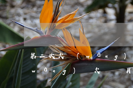 第二次欠網(wǎng)貸的人可惡嗎(網(wǎng)貸欠兩個月會怎樣)