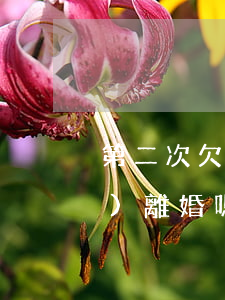 第二次欠網(wǎng)貸老公會(huì)離婚嗎(老婆欠了很多網(wǎng)貸該離婚嗎)