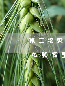第二次欠网贷怎么跟家人说好(欠了网贷该怎么和家里人开口)