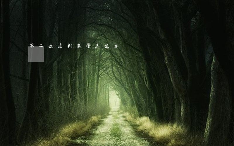 第二次没判离婚怎么办