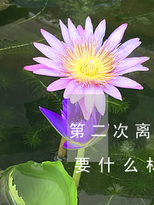 第二次离婚起诉书怎么写(第二次起诉离婚需要什么材料)