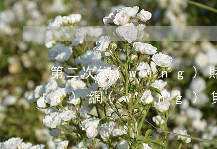 第二次網(wǎng)賭又欠10萬(wàn)網(wǎng)貸(網(wǎng)賭欠了二十萬(wàn)網(wǎng)貸想死)