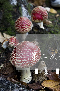 第二次起訴公共欠錢(qián)(第二次起訴欠錢(qián)會(huì)給對(duì)方多長(zhǎng)還錢(qián)時(shí)間)
