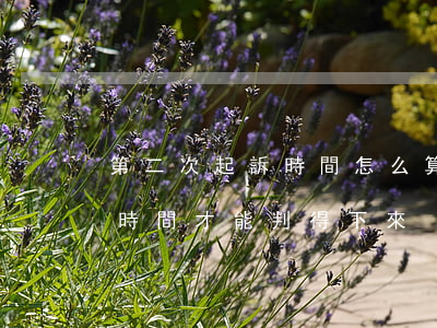 第二次起訴時間怎么算(第二次起訴看要多長時間才能判得下來)