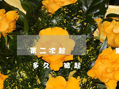 第二次起訴時間會過期嗎（起訴過第二次逾期多久會被起訴）