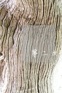 第二次起訴離婚多久開庭