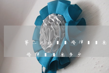 第二次起訴離婚律師費要多少(第二次起訴離婚律師費要多少)