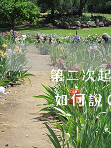 第二次起訴離婚開(kāi)庭原告女方該如何說(shuō)(起訴離婚第二次開(kāi)庭前調(diào)解,這樣會(huì)判離么)