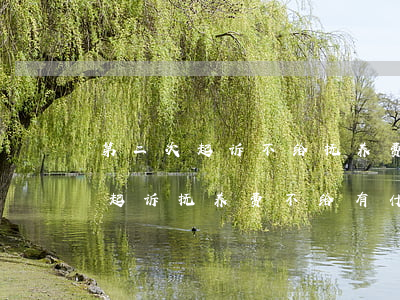 第二次起诉不给抚养费对方会受到什么后果(起诉抚养费不给有什么后果)