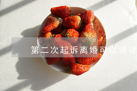 第二次起诉离婚可以请律师吗