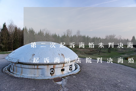 第二次起诉离婚未判决离婚能上诉吗(第二次起诉离婚法院判决离婚可能性大不大)