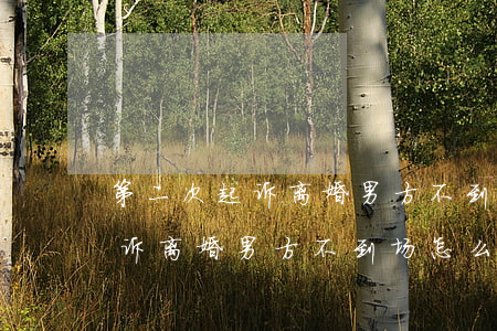 第二次起诉离婚男方不到场怎么办(第二次起诉离婚男方不到场怎么办)