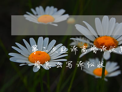 第二次起诉离婚诉状怎么写 女方(女方起诉离婚怎么写诉讼状)