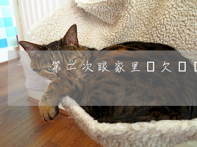 第二次跟家里說欠網貸