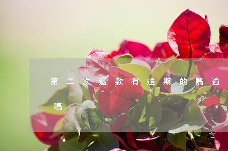 第二次還款有逾期的嗎(逾期兩次還可以貸款嗎?)