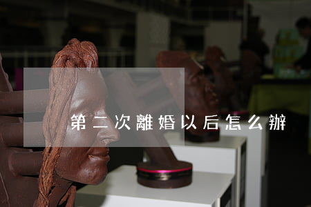 第二次離婚以后怎么辦