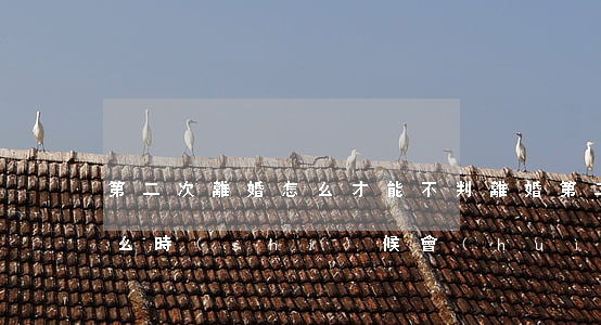 第二次離婚怎么才能不判離婚(第二次離婚什么時(shí)候會(huì)判)