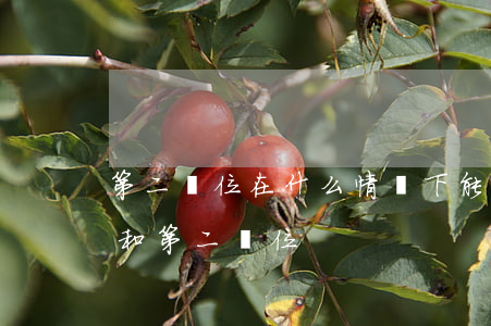 第二順位在什么情況下能繼承(繼承第一順位和第二順位)