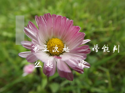 第五次起訴離婚能判離嗎（對方不同意離婚怎么起訴離婚）