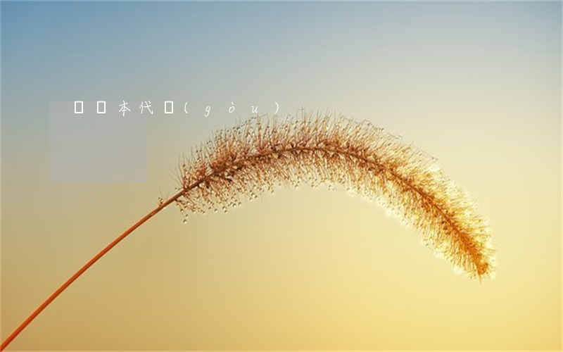 筆記本代購(gòu)