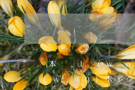 筆記本無線上網(wǎng)卡多少錢(無線網(wǎng)卡多少錢?)