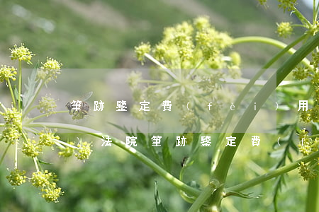 筆跡鑒定費(fèi)用多少錢(qián)(法院筆跡鑒定費(fèi)用一萬(wàn)多)