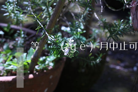 等兩個(gè)月中止可以去法院看嗎
