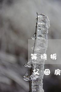 等待拆遷的遺產(chǎn)房屋怎么繼承(父母房產(chǎn)被拆 遺產(chǎn)繼承)