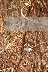 等網(wǎng)貸起訴比較好嗎
