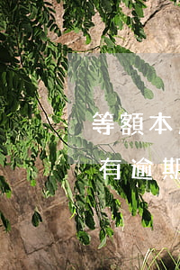 等額本息有逾期會影響公積金嗎-等額本息有逾期會影響公積金嗎