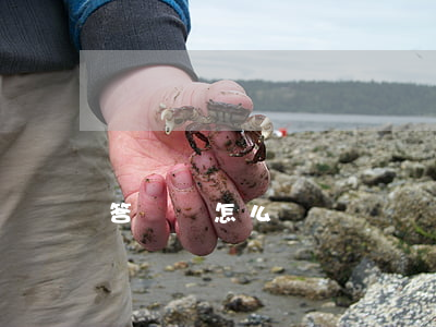 答辯狀怎么寫